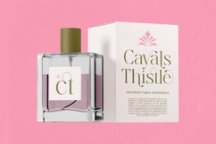 Bagvan Anstic Elegant Thin Serif Display Font Product Image 14