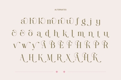 Bagvan Anstic Elegant Thin Serif Display Font Product Image 17