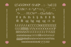 Bagvan Anstic Elegant Thin Serif Display Font Product Image 19