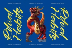 Bahery Stankif - Modern Brush Font Product Image 4