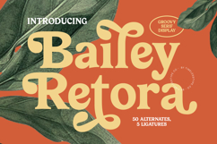 Bailey Retora - Groovy Serif Display Product Image 1