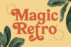 Bailey Retora - Groovy Serif Display Product Image 2