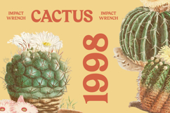 Bailey Retora - Groovy Serif Display Product Image 8