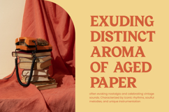 Bailey Retora - Groovy Serif Display Product Image 10