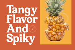 Bailey Retora - Groovy Serif Display Product Image 13