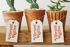 Bailey Retora - Groovy Serif Display Product Image 14