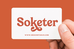 Bailey Retora - Groovy Serif Display Product Image 15