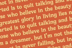 Bailey Retora - Groovy Serif Display Product Image 17