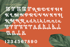 Bailey Retora - Groovy Serif Display Product Image 18