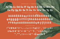 Bailey Retora - Groovy Serif Display Product Image 19