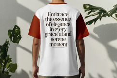 Balance Aesthetic Luxury Serif Display Product Image 5