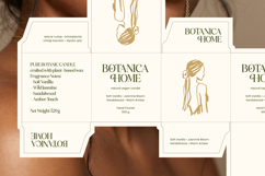 Balance Aesthetic Luxury Serif Display Product Image 8
