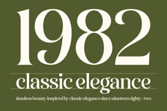 Balance Aesthetic Luxury Serif Display Product Image 12