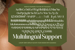 Balance Aesthetic Luxury Serif Display Product Image 19