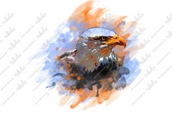 Bald Eagle Watercolor Sublimation Clipart PNG JPG Product Image 1