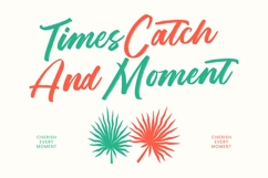 Balista Modern Brush Font Product Image 4