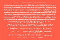 Balista Modern Brush Font Product Image 14