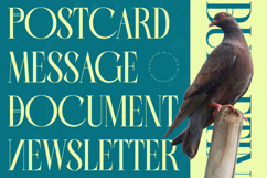 Balliome - Modern Serif Typeface Product Image 3