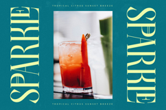 Balliome - Modern Serif Typeface Product Image 5