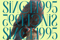 Balliome - Modern Serif Typeface Product Image 6