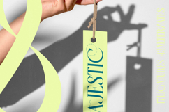 Balliome - Modern Serif Typeface Product Image 8