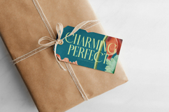 Balliome - Modern Serif Typeface Product Image 9