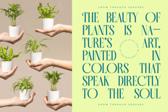 Balliome - Modern Serif Typeface Product Image 10