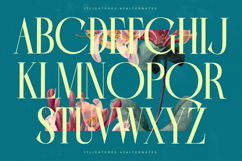 Balliome - Modern Serif Typeface Product Image 15
