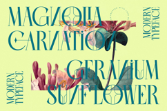 Balliome - Modern Serif Typeface Product Image 17