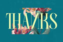 Balliome - Modern Serif Typeface Product Image 20