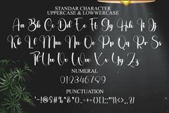 Balpoint Handwriting Product Image 3