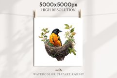 Baltimore Oriole Birds Clipart Forest PNG Nursery Art Image Watercolor  Transparent Print invitation t-shirt designs sublimation kids printable digital watercolor cute Baltimore Oriole, Safari birds bird clipart, sublimation nursery drawing Savanna