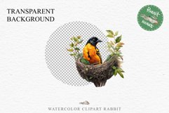 Baltimore Oriole Birds Clipart Forest PNG Nursery Art Image Watercolor  Transparent Print invitation t-shirt designs sublimation kids printable digital watercolor cute Baltimore Oriole, Safari birds bird clipart, sublimation nursery drawing Savanna