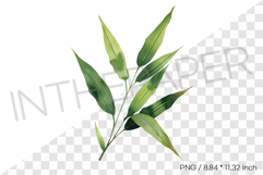 Bamboo Leaf Cluster Tropical Summer Clipart Watercolor Product Image 1
