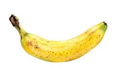 Banana Png File| Fruit Png Product Image 1