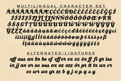 Bandbox | Athletic Script Typeface Product Image 9