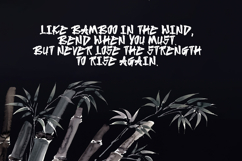 Bandes - The Japanese Brush Font Product Image 4