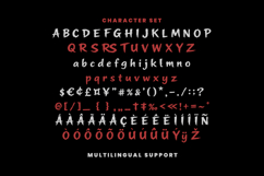 Bangkar Rowers Bold Handmade Brush Font Product Image 5
