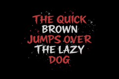 Bangkar Rowers Bold Handmade Brush Font Product Image 6