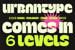 Bangkoq - Groovy Display Sans Product Image 13