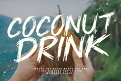 Banly Thecs Urban Brush Font Product Image 4