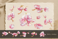 Hand Painted Sakura PNG Elements - Watercolor &amp; Oil Pastel Product Image 4