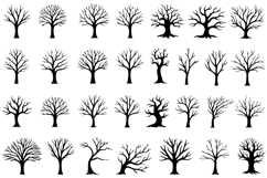 Bare Tree Silhouette SVG Product Image 1