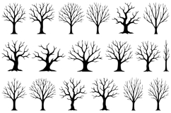 Bare Tree Silhouette SVG Bundle Product Image 1