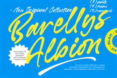 Barellys Albion - Modern Handwritten Typography Product Image 1