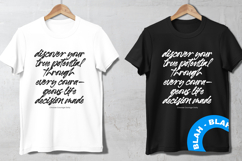 Barellys Albion - Modern Handwritten Typography Product Image 7