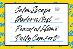 Barellys Albion - Modern Handwritten Typography Product Image 8