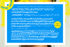 Barellys Albion - Modern Handwritten Typography Product Image 10