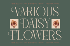 Barely Painter - All Caps Serif Font Product Image 8