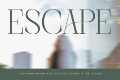 Barely Painter - All Caps Serif Font Product Image 12